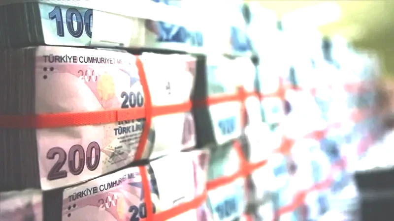 Her ay 2000 TL'ye yakın geliyor! Destek almak isteyenler baksın - Resim: 20