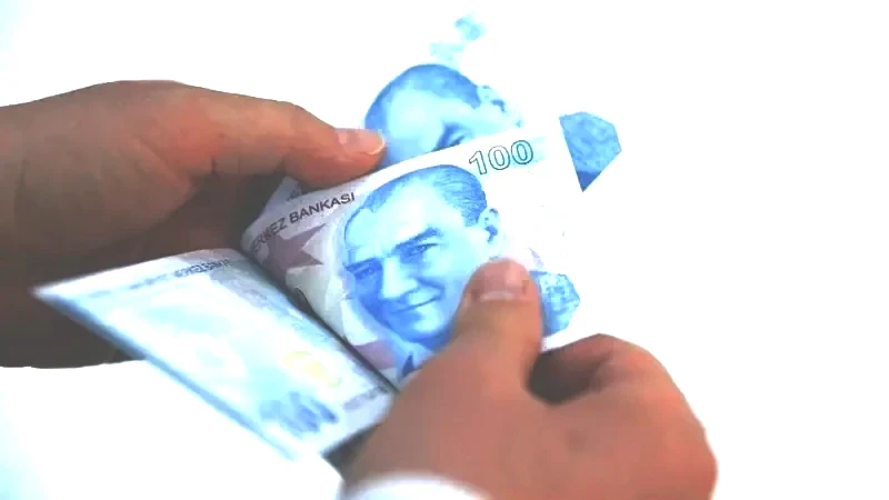 Her ay 2000 TL'ye yakın geliyor! Destek almak isteyenler baksın - Resim: 14